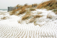 Rehoboth Beach
