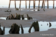 Cape Henlopen