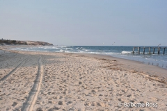 Cape Henlopen, Herring Point