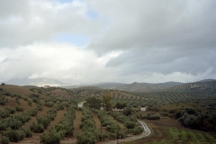 Between Cordoba & Ronda