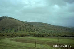 Between Cordoba & Ronda