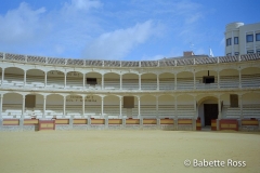 Plaza de Toros, Ronda
