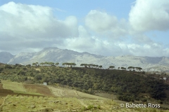 Ronda Gorge