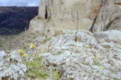 Ronda Gorge