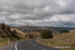 Between Raglan & Rotorua