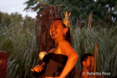 Maori Hangoi