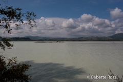 Rotorua Lake