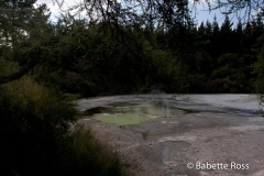 Wai-O-Tapu - Opal Pool