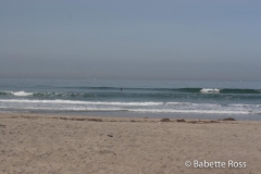 Mission Beach