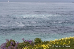 La Jolla