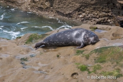 La Jolla