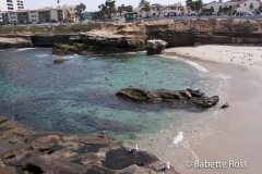 La Jolla