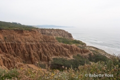 Torrey Pines