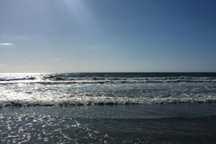 Pacific Beach