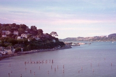 Old Film Scan - Sausilito