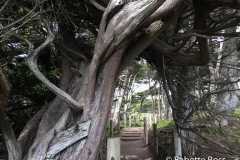 Lands End Trail