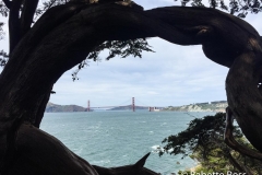 Lands End Trail