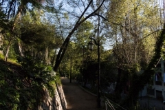 Cerro Santa Lucia