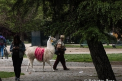 Parque Quinta Normal
