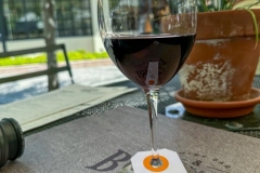 Concha Y Toro Vineyard