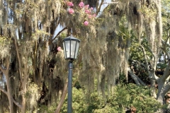 Colonial Park Cemetery