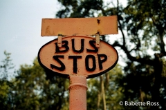 Bus Stop