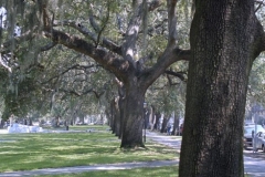 Emit Park