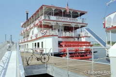 Paddle Boat