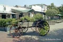 City Market
