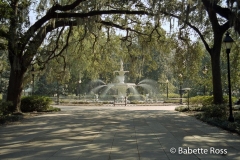 Forsythe Park, Fountain