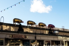 Pike Place Market