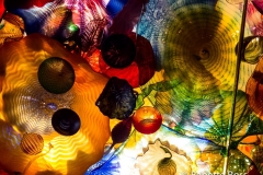 Seattle Center - Chihuly Garden and Glass