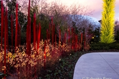 Seattle Center - Chihuly Garden and Glass