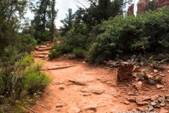Cathedral Rock Trail