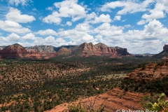 Cathedral Rock Trail