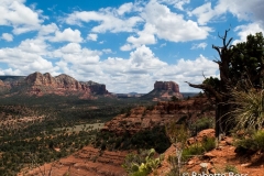Cathedral Rock Trail