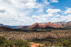 Cathedral Rock Trail
