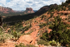 Cathedral Rock Trail