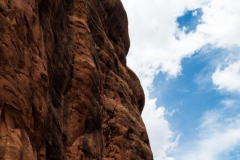 Cathedral Rock Trail