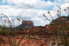 Cathedral Rock Trail