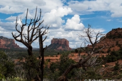 Templeton Trail