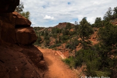 Templeton Trail