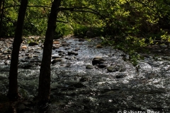 Templeton Trail