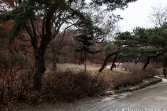 Changgyeonggung Palace