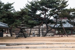 Changgyeonggung Palace