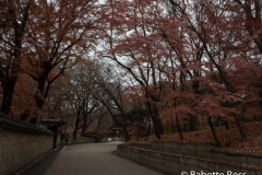 Changdeokgung Palace, Huwon