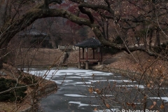 Changdeokgung Palace, Huwon