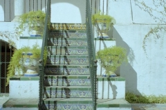 Alcazar