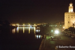 Rio Guadalquivir & Toro de Oro Guadalquivir