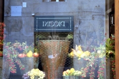Window 1998-11-15